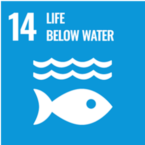 sdg champion