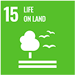 sdg champion