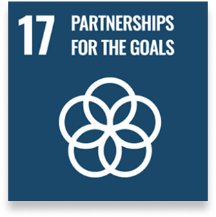 sdg champion