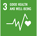 sdg champion