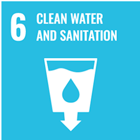 sdg champion