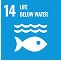 life below water
