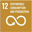 sdg champion