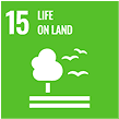 sdg champion
