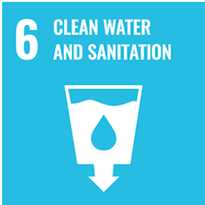 sdg champion
