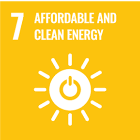 sdg champion