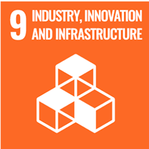sdg champion